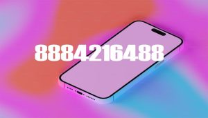 8884216488 Explained