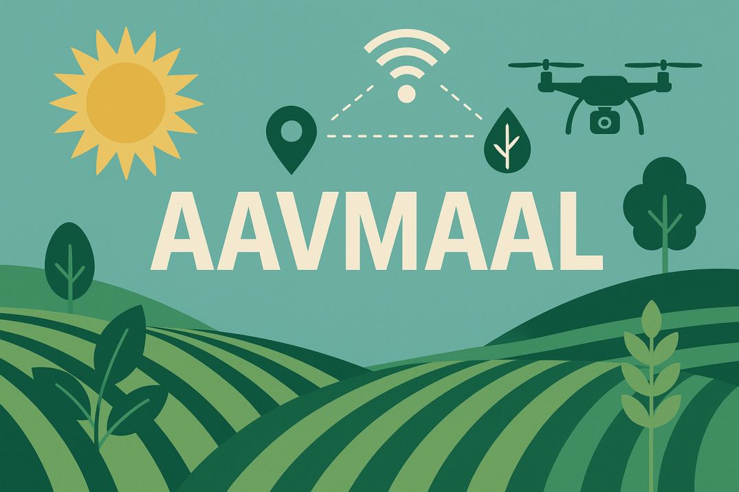 Aavmaal