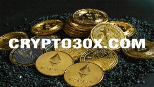 How to Use Crypto30x.com