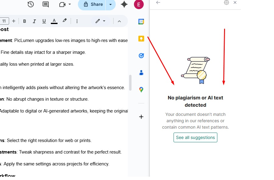 no plagiarism or ai text detected