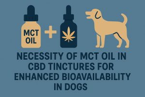 MCT Oil in CBD Tinctures