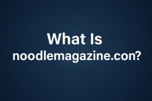 What Is noodlemagazine.con